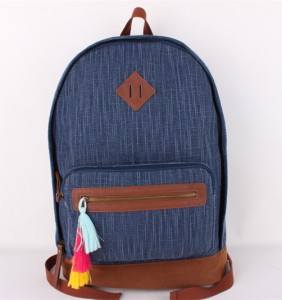 Stylish Trendy Fashion School Backpack Carry on Canvas Daily Casual Backpack Canvas Travel Bag